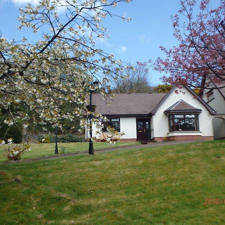 Torrent Cottage Coalisland Exterior foto